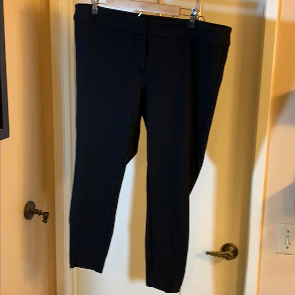 Loft Plus Crop Ponte Pants with Ankle Zippers 18W
